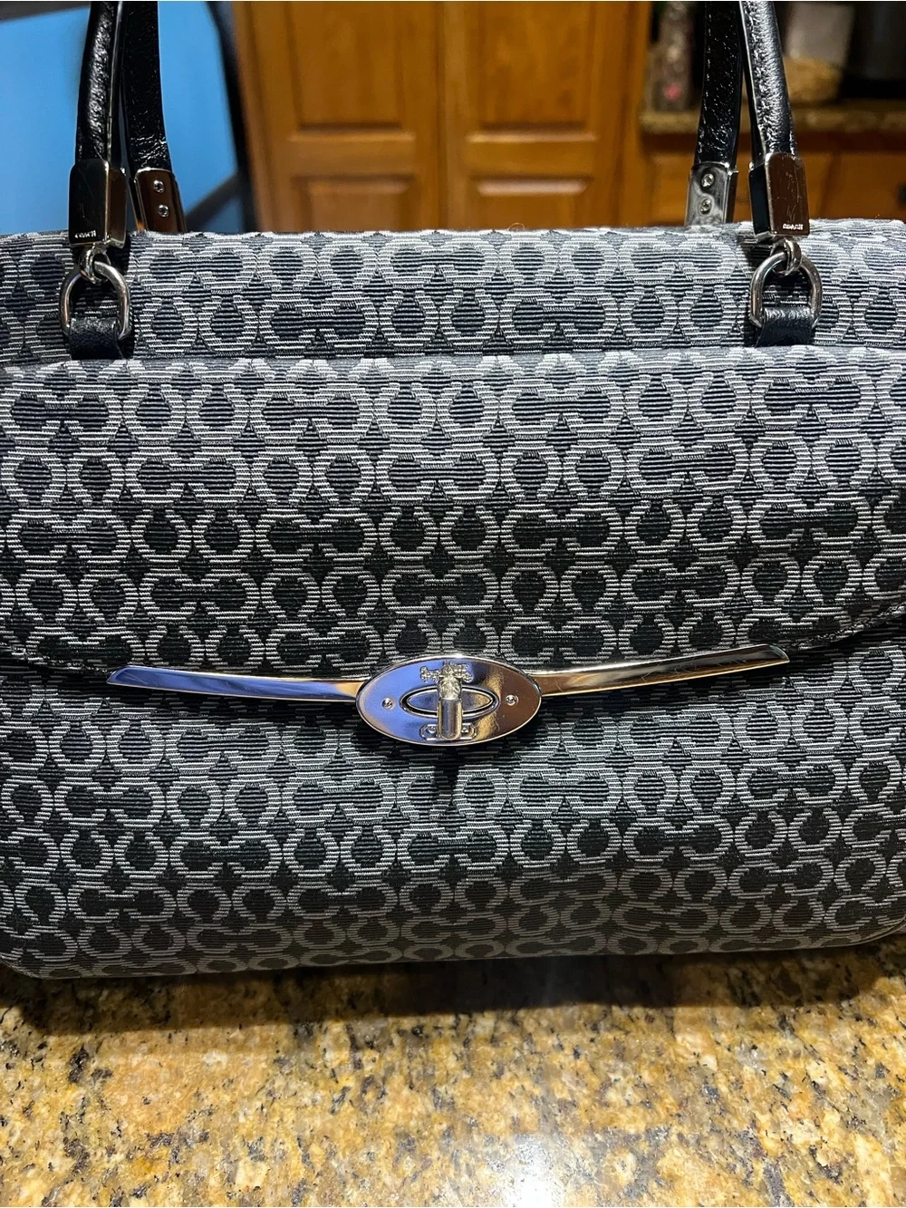 Coach  Shoulder Bag